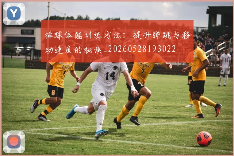 排球体能训练方法：提升弹跳与移动速度的秘诀_20260528193022